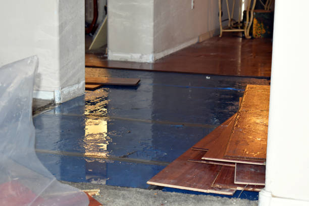 Professional Sewage Cleanup technician working in Russellville, AR